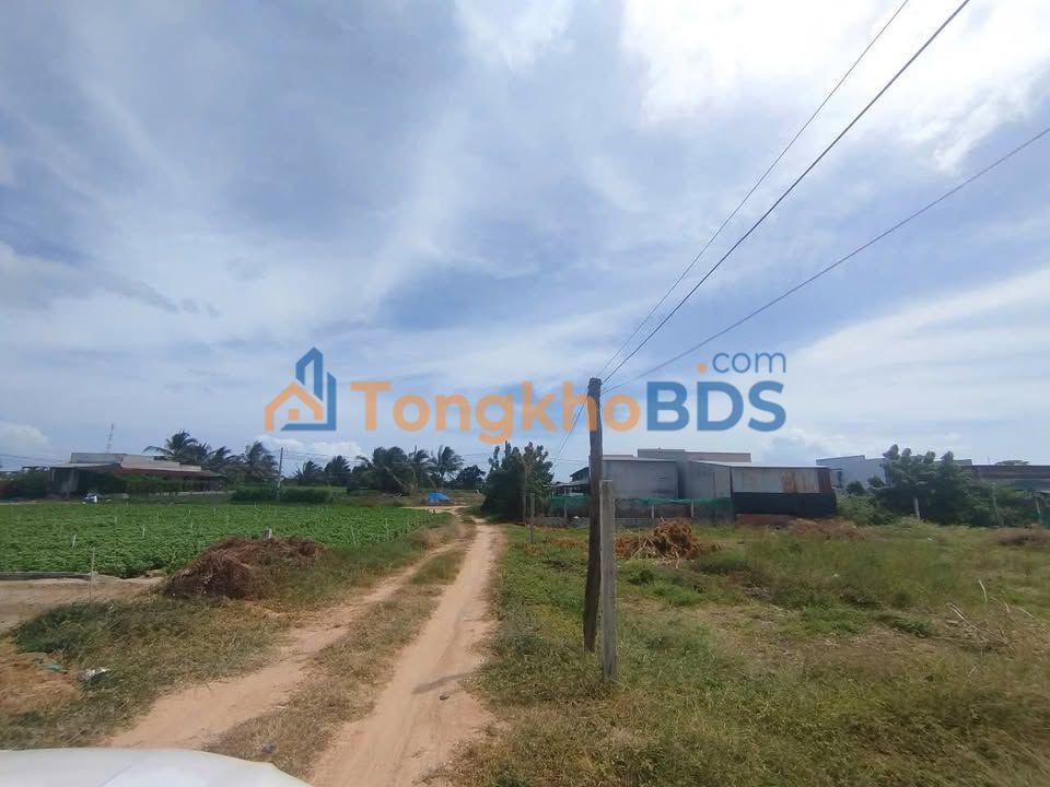 Đất HNK An Hải Ninh Phước 1.44ha 3.44 tỷ - Sổ đỏ chính chủ