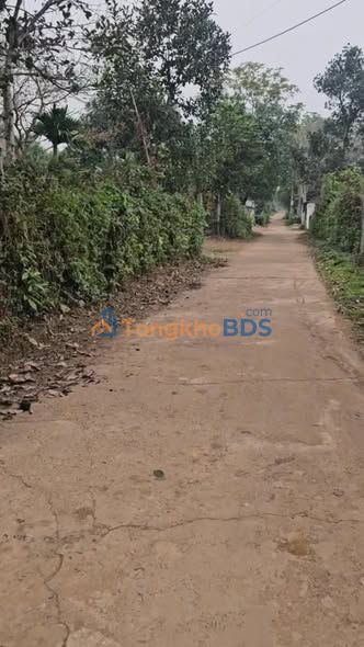 Bán Đất Lương Nha Phú Thọ 1000m² - Sổ Đỏ Thổ Cư, Gần QL 12B