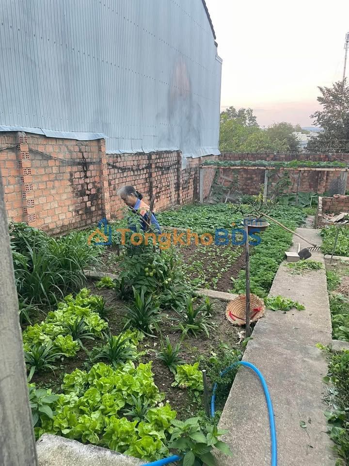 Bán Đất Kon Tum 135m² Hẻm Trần Văn Hai - Giá 6xx Triệu