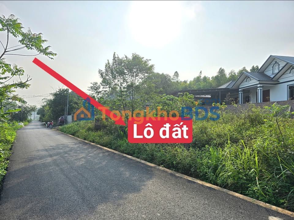 Đất Vĩnh Phúc 134.7m² - Làng Mạ Tam Quan, Đường ô tô tránh, Giá chỉ từ 8xx Tỷ