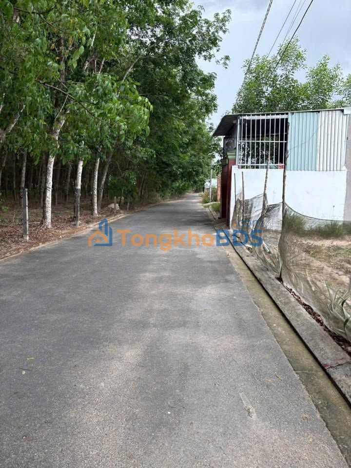 Đất Hắc Dịch 100m² - Trung tâm Phú Mỹ Giá 799 Triệu