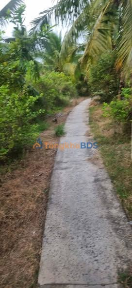 Bán Gấp Đất Vườn 1000m² Lương Hòa, Bến Tre - Giá Đầu Tư 400 Triệu