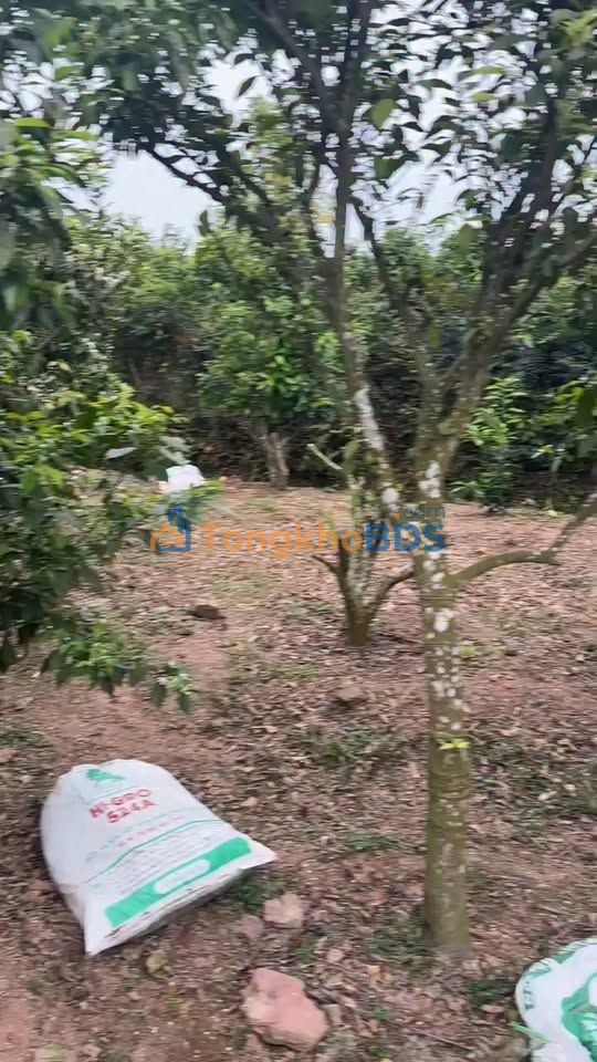 Đất nền Phượng Sơn Bắc Giang 1.632m² - Sổ đỏ chính chủ