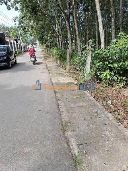 Đất Thổ Cư An Điền Bến Cát 115m² - Sổ Hồng Sẵn Sàng