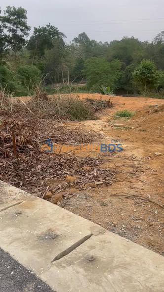 Đất Nền Băng 1 DH14 Phú Thọ – 80m² Full Thổ Cư – Đầu Tư Sinh Lời