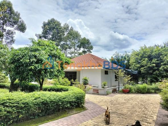 Biệt thự vườn An Phước Long Thành 3000m² 10tr - Giá tốt hiếm có