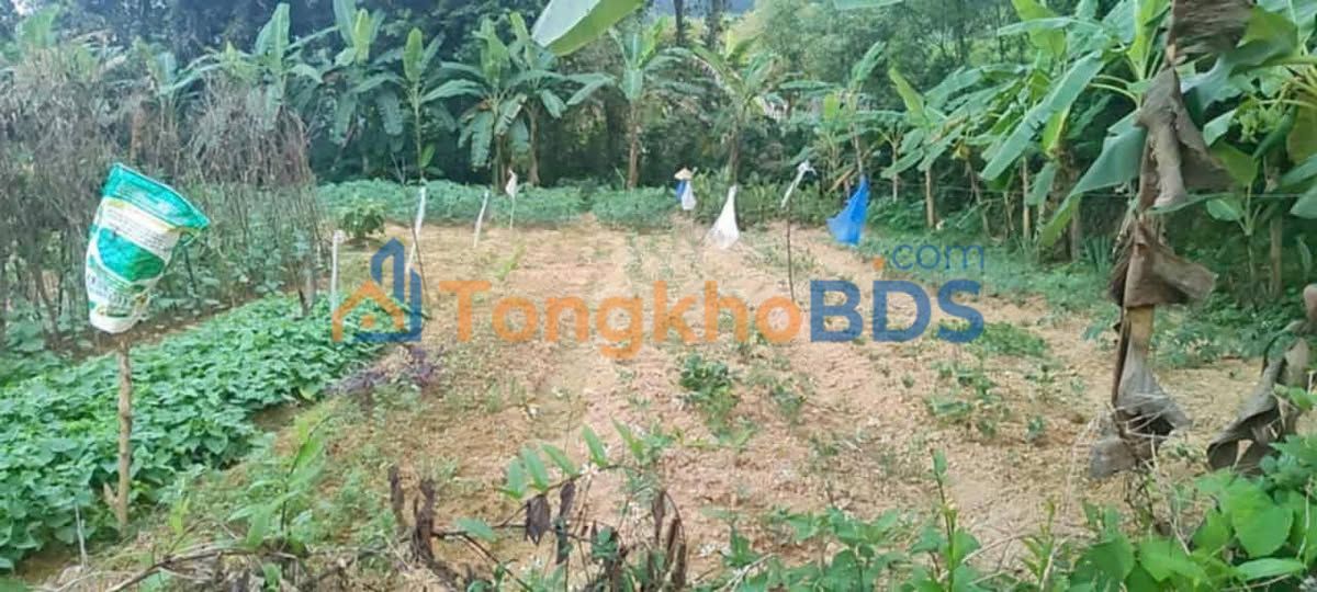 Đất nền Xuân Sơn 225m² - Sổ đỏ thổ cư, giá chỉ 6.x tỷ