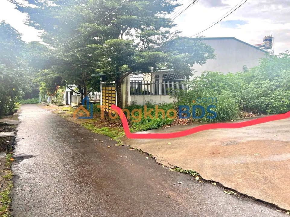 Đất Góc 2MT Tân Lợi, BMT - 120m² Full Thổ Cư, Giá 2.95 Tỷ