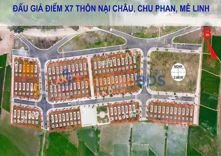 Đất đấu giá X7 Nại Châu Đông Anh 100m² - Sổ đỏ sẵn sàng giao dịch