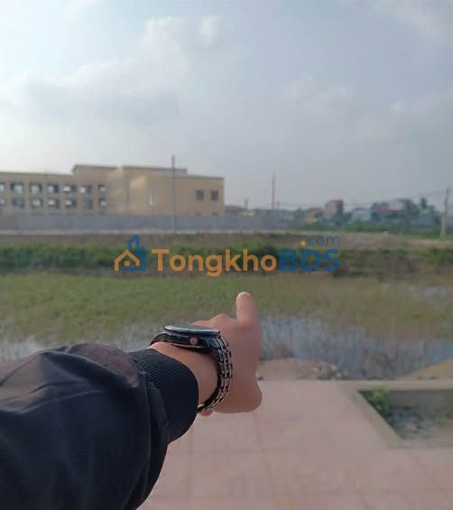 Đất Đấu Giá Hưng Nguyên 160m² - Mặt Tiền 15m Hướng Đông Nam