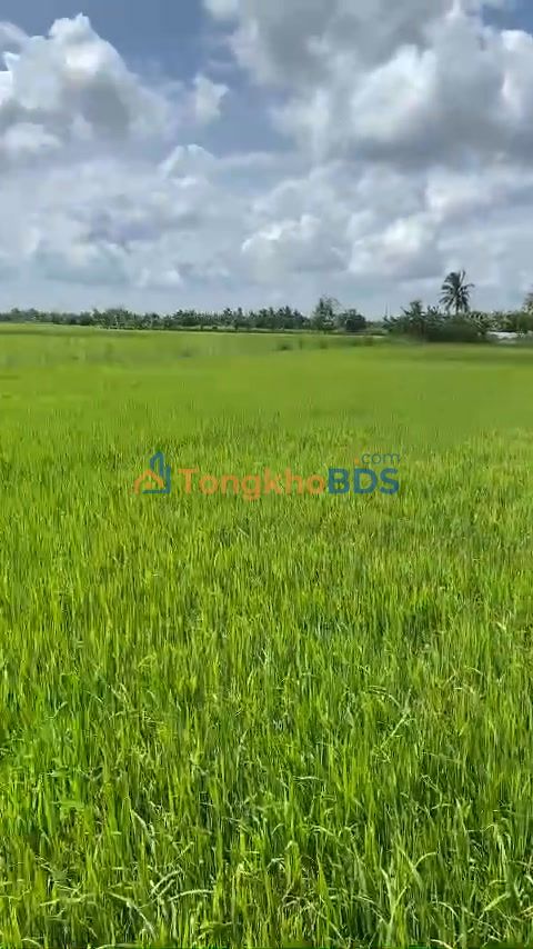 Bán Đất Vĩnh Long 1000m² Mặt Tiền Rộng Gần Chợ Cái Ngang - Giá 500 Triệu