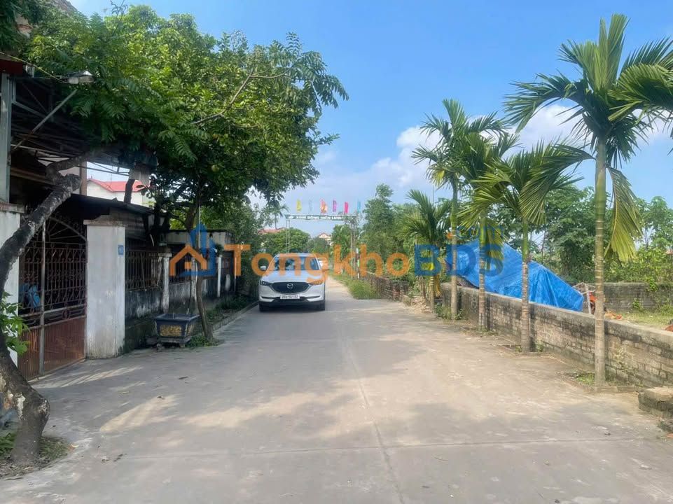 Bán Gấp 2 Lô Đất Vàng Sóc Sơn - 118m² Full Thổ Cư, Sẵn Sổ