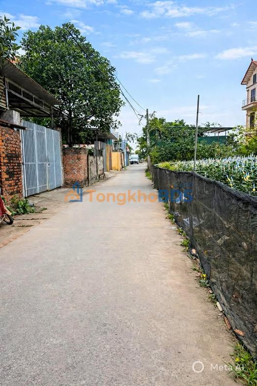 Đất nền Thanh Lâm 139m² 100 triệu - Sổ đỏ chính chủ