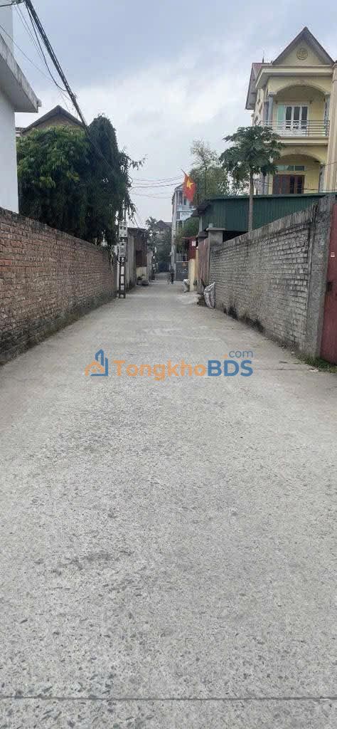 Đất nền 61m² Song Liễu, Bắc Ninh - Sổ đỏ sẵn sàng, giá chỉ 1.6 tỷ