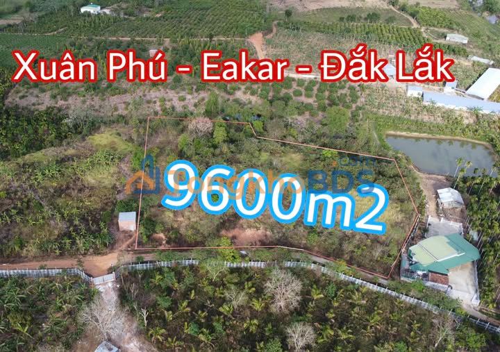Bán Gấp 10.000m² Đất Vườn Xuân Phú, Ea Kar - Giá 1.5 Tỷ