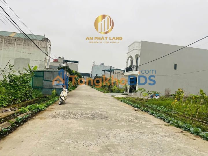 Đất Vàng Ninh Bình 100m² - Mặt Tiền 5m - Vành Đai Ninh Phúc Hướng Bắc