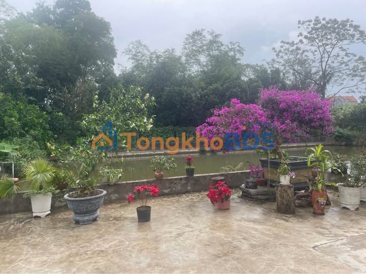 Đất Vàng 80m² Trần Quang Khải, Ninh Bình - Ô tô tránh, Giá 2 Tỷ