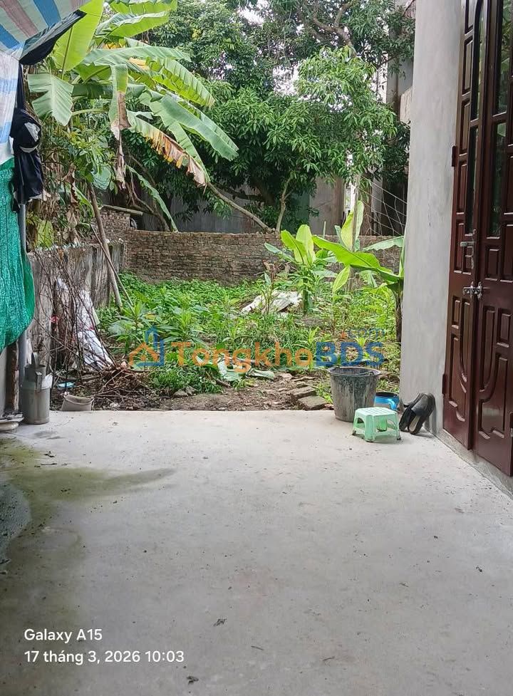 Đất nền Phường Trà Lý Thái Bình 59m² - Sổ đỏ chính chủ