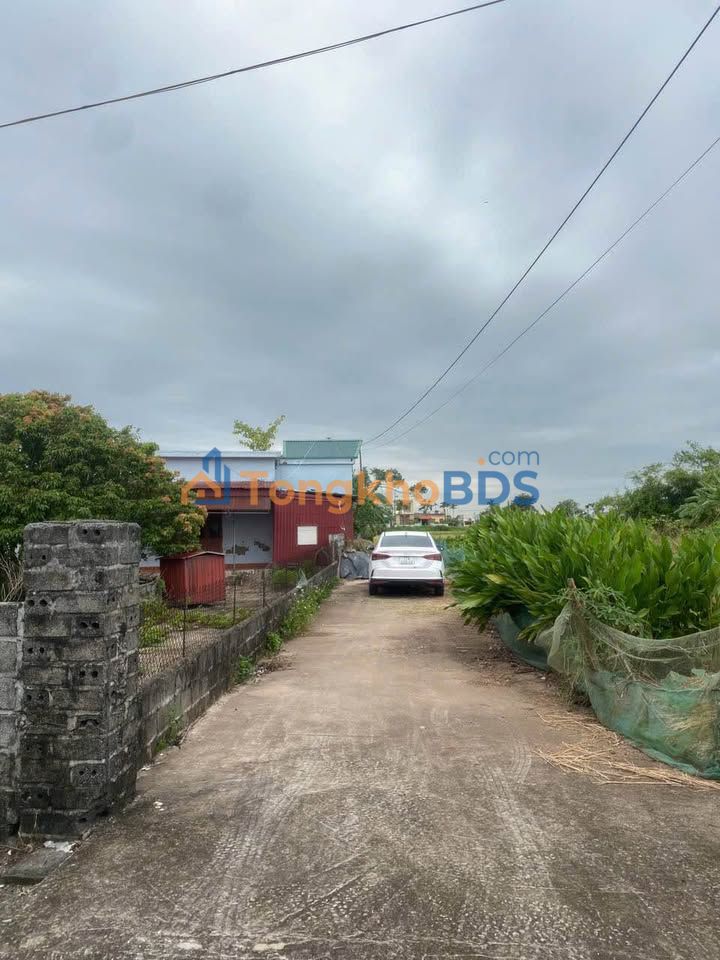 Đất nền Liền kề Nam Thịnh 131m² - Trung tâm TP Thái Bình