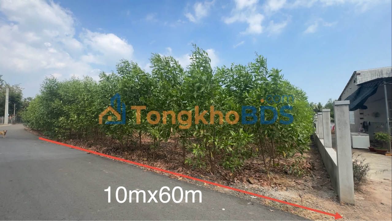 Đất Xuyên Mộc 600m² Sổ Đỏ Giá Tốt - Cắt Lỗ 1.2 Tỷ