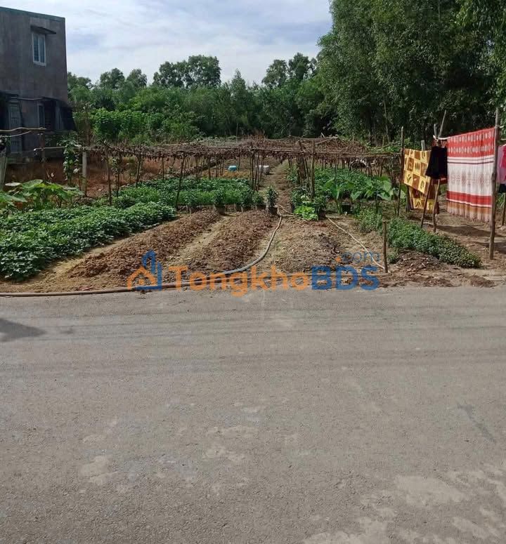 Đất DX24 Phú An Bến Cát 700m² 4.1 tỷ - Sổ đỏ chính chủ