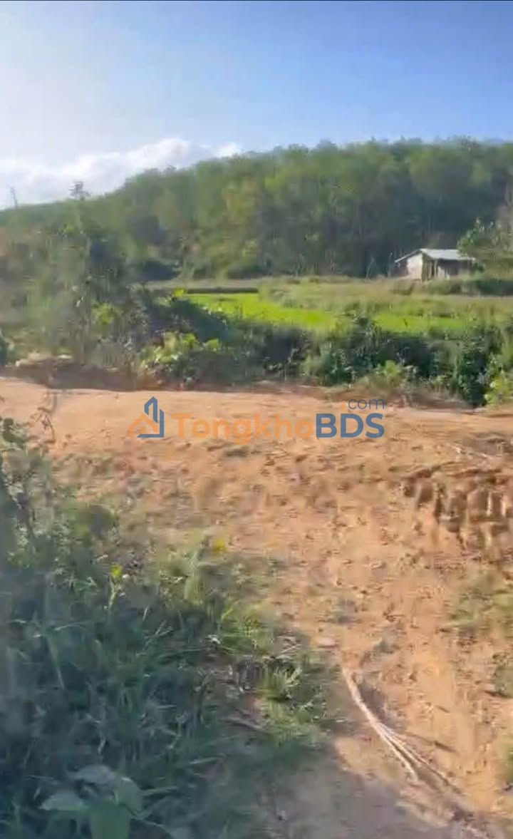 Đất Vườn 7200m² Đắk Cấm, Kon Tum - Giá Đầu Tư 1xx Triệu