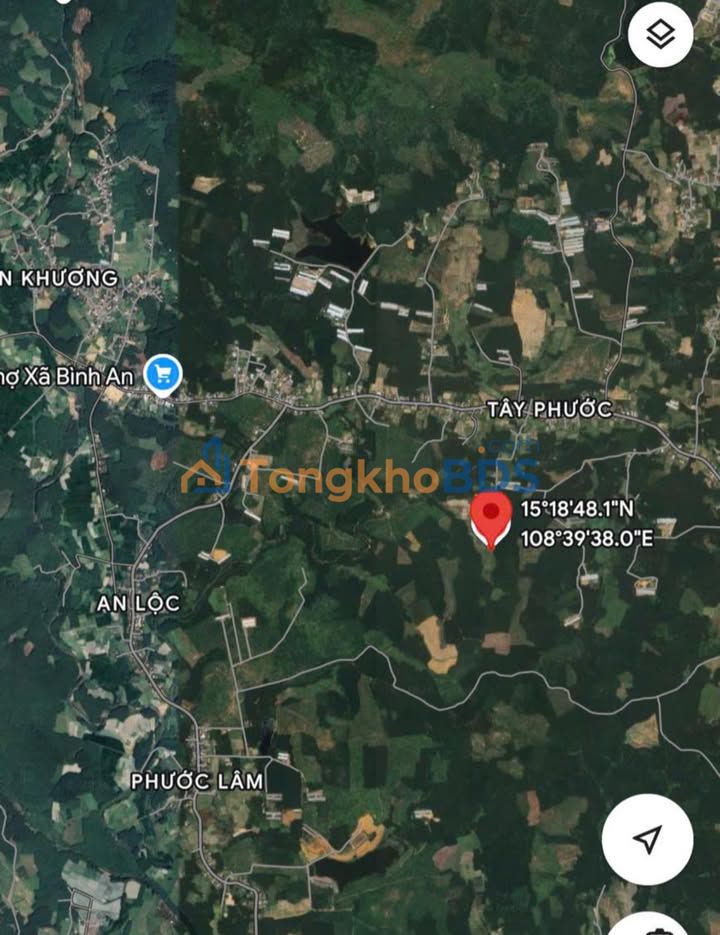 Bán Gấp 180.000m² Đất Rừng Bình An, Quảng Ngãi - Tiềm Năng Trang Trại Lớn