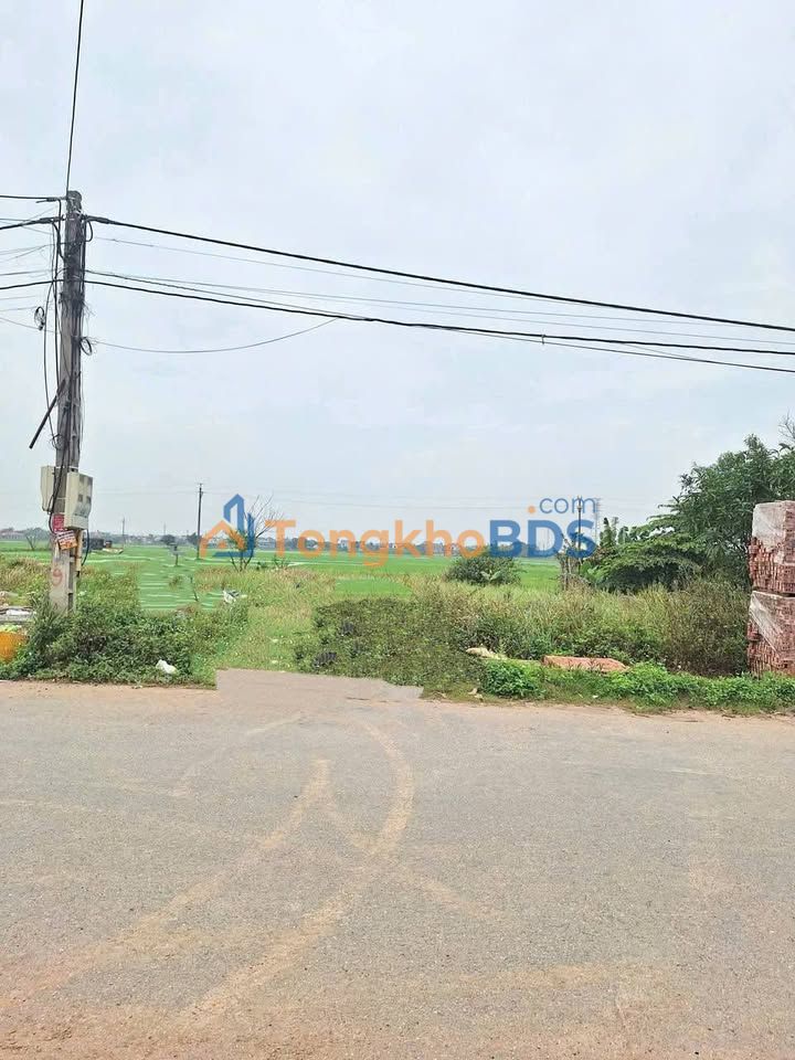 Đất Nền Thống Nhất Thái Bình 100m² - Kinh Doanh Sầm Uất 2.2 Tỷ