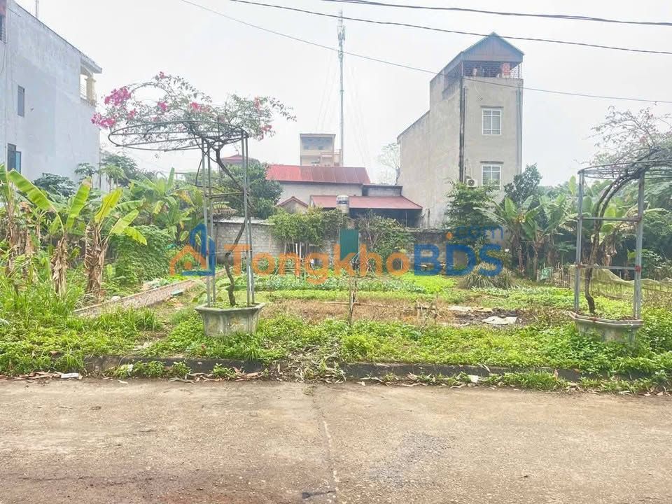 Đất thổ cư 160m² mặt QL32C, Lâm Thao, Phú Thọ - Giá 1.5 tỷ