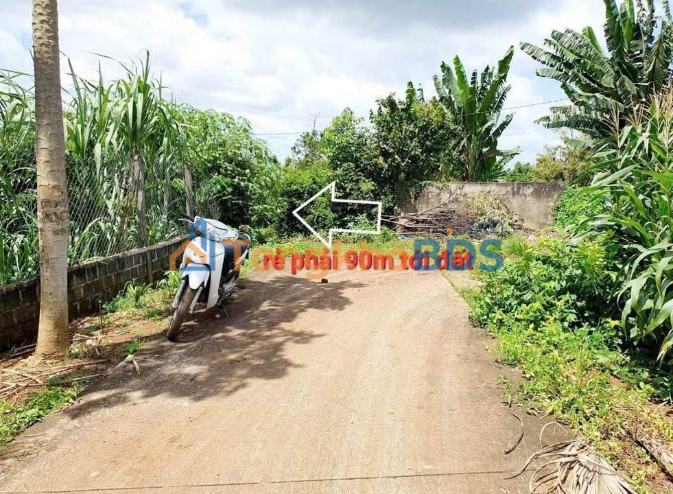 Đất Vườn Đắk Lắk 1410m² - View Đồng Ruộng, Giáp Suối, Giá 350 Triệu