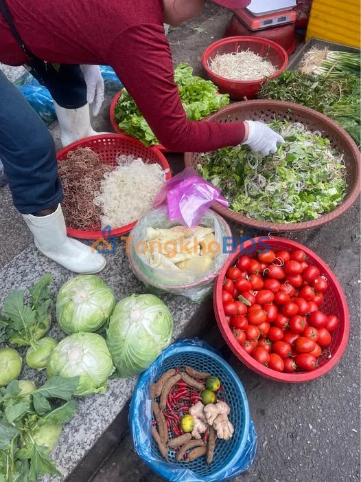 Đất đấu giá Kha Lâm 3, Kiến An: 50m², ô tô vào đất, giá 1.69 tỷ