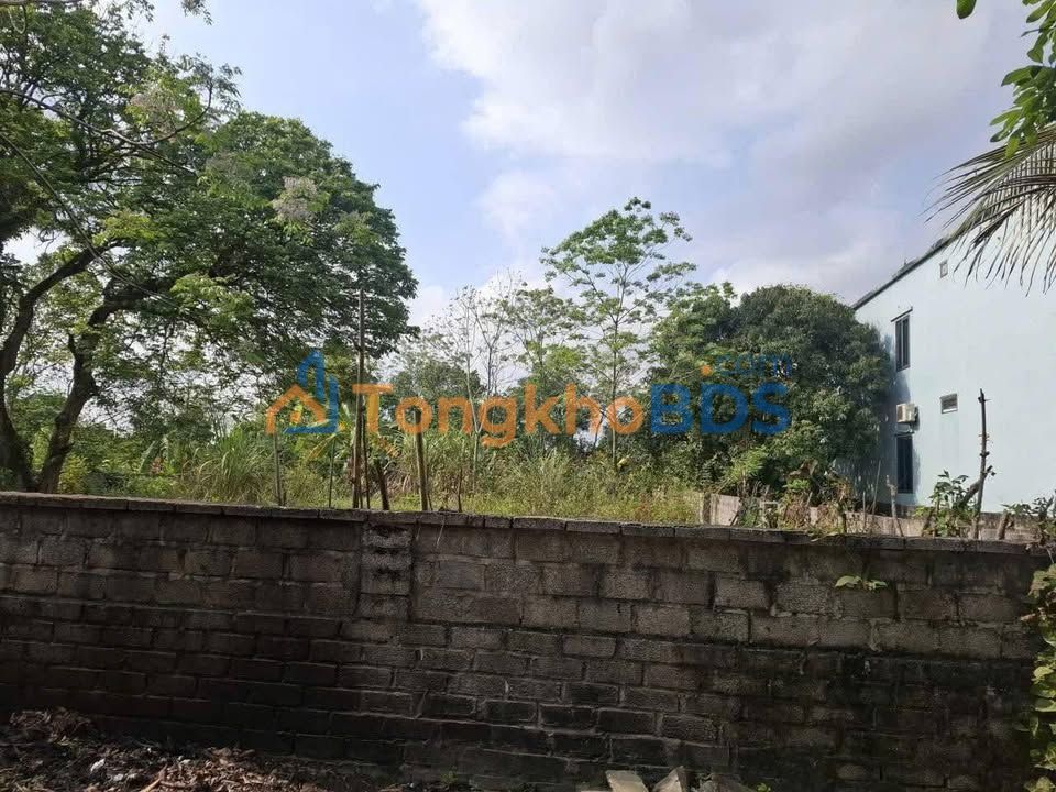 Đất nền Hoa Lư 240m² - Sổ đỏ sẵn sàng, đường thông ô tô