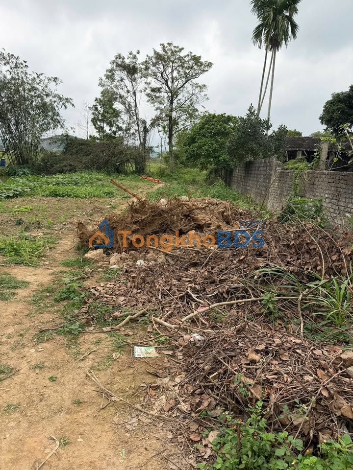 Đất Nền 125m² Phú Lộc, Ninh Bình - Sổ Đỏ Full Thổ Cư, Sẵn Nền Xây Dựng