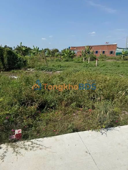 Bán Gấp 2 Lô Đất Thổ Cư Tân Trụ, Long An - Sẵn Sàng Xây Dựng