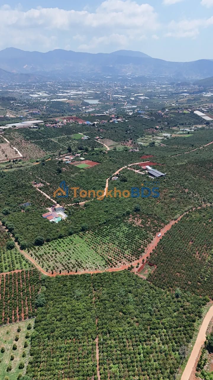 Đất Nền Thổ Cư Lâm Hà 7500m² - Mặt Tiền Đường 130m Giá 7.5 Tỷ