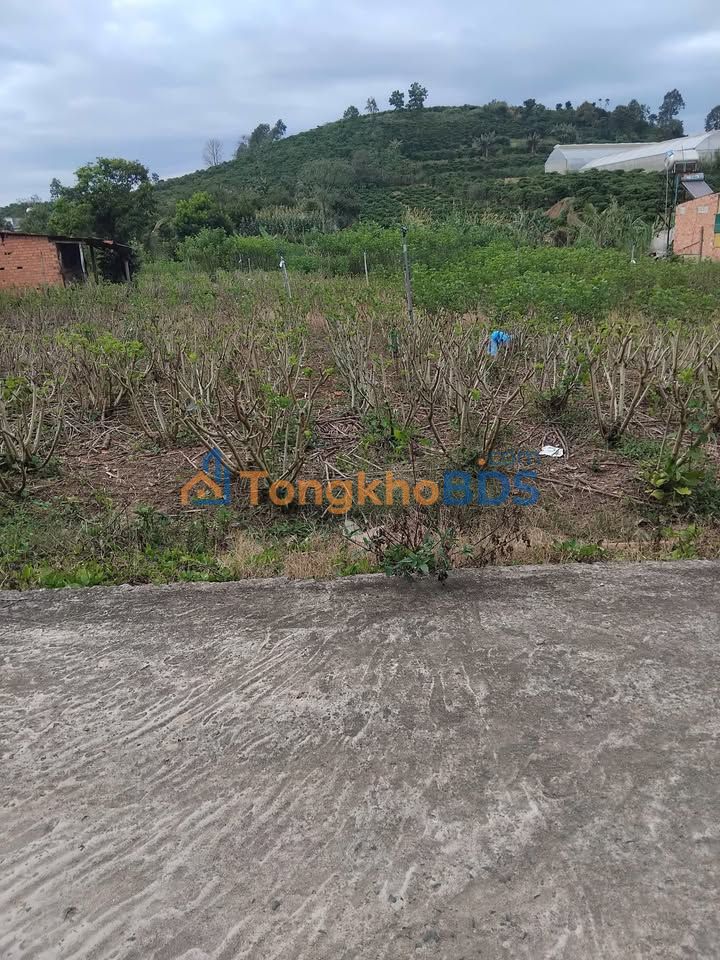 Đất Nền Bình Phước 450m² - Giá 850 Triệu, Sổ Đỏ Rõ Ràng