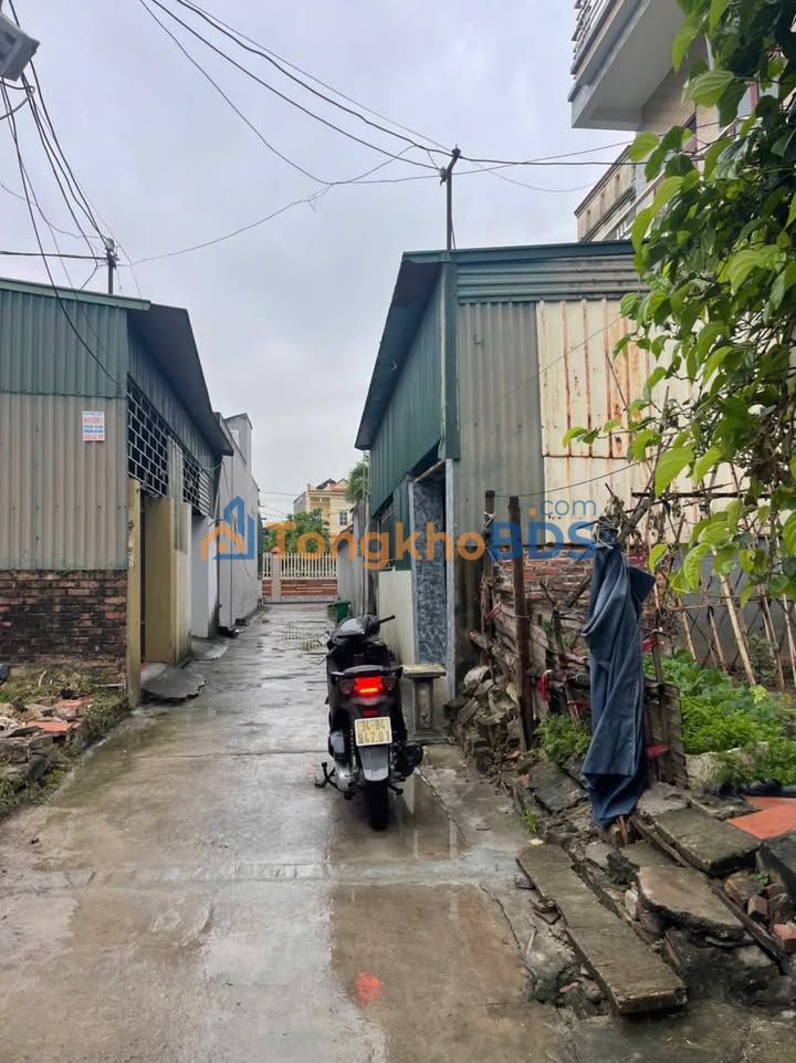 Bán Đất Cẩm Giàng 63m² Hướng Tây - Lộc Tài Sinh Tiền Tỷ!