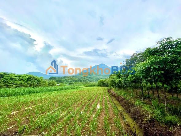 Đất nền Ba Vì 1070m² - View núi Tản, Pháp lý Sổ hồng