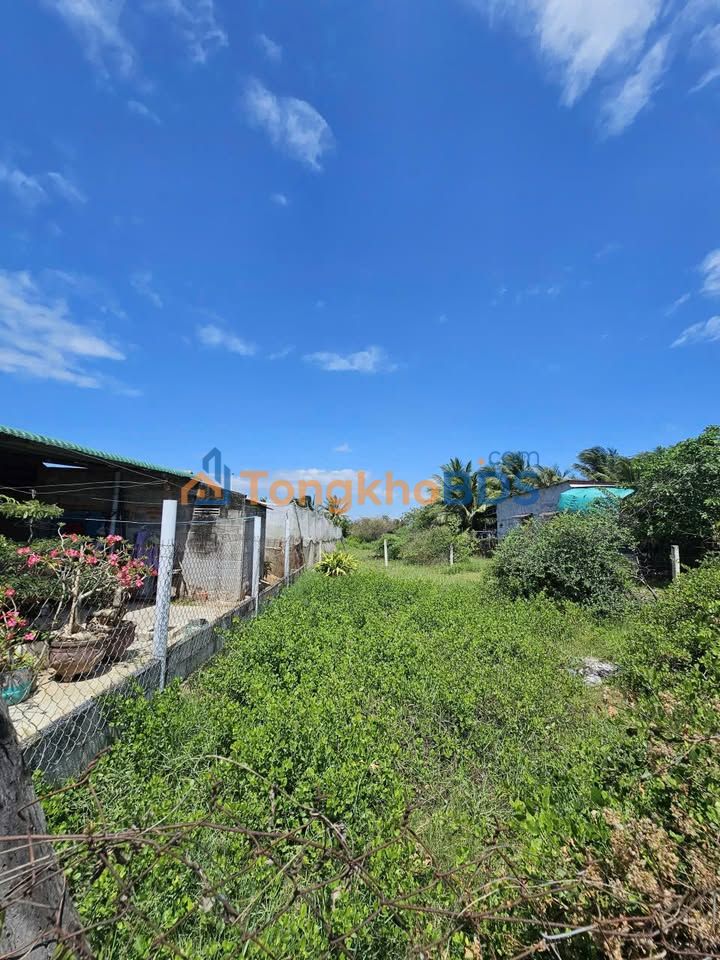 Đất Thổ Cư 100m² Phan Rang - Sổ Hồng Riêng - 650 Triệu