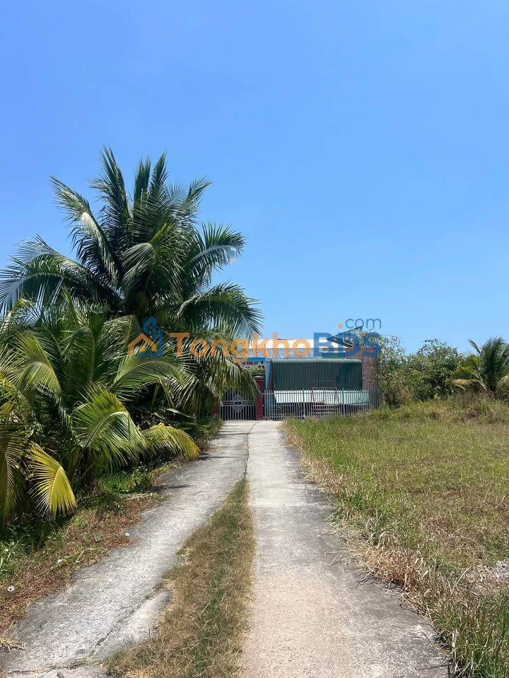 Đất Thổ Cư 126m² Mặt Tiền Đường Bê Tông Hàm Mỹ, Bình Thuận - Giá Tốt