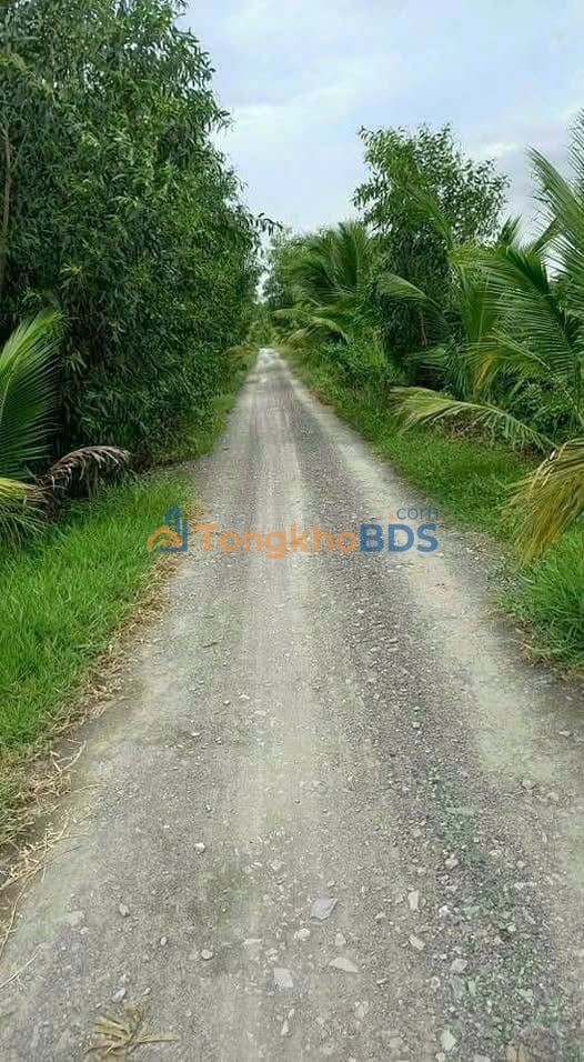 Bán Đất Nền Mặt Tiền 60m Đường Đá Xanh, Liên Chiểu - 2872m² Giá Đầu Tư 2.7 Tỷ