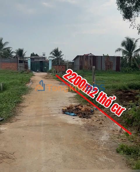 Đất Nền Đức Hòa 2200m² - Sát BV Xuyên Á, Giá 8 Triệu/m²