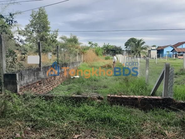 Bán đất 197m² Xóm Chồi, Thủ Thừa - Sổ hồng riêng, giá 1.15 tỷ