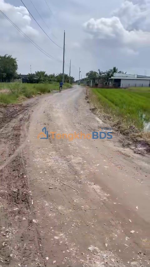 Đất nền Tân Phú 245m² 1,3 tỷ - Sổ đỏ chính chủ