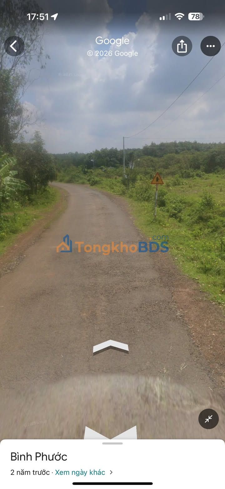 Đất Vườn 5000m² Sổ Hồng Sẵn, Chính Chủ Bán Gấp Giá 640 Triệu