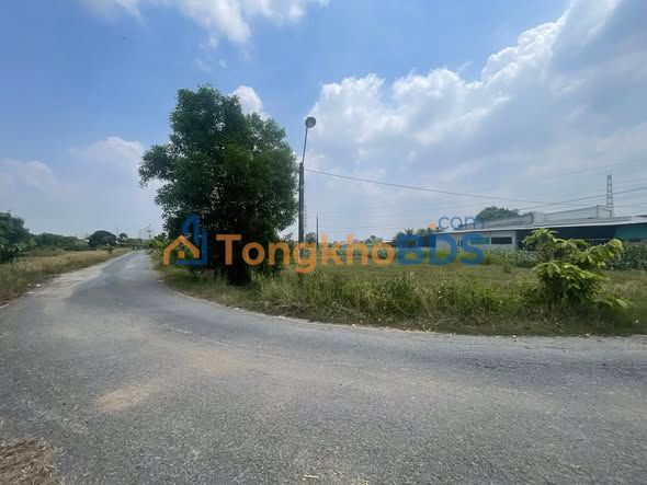 Bán Đất Góc 2 Mặt Tiền Đường Nhựa Đức Hòa 295m², Sổ Hồng Thổ Cư