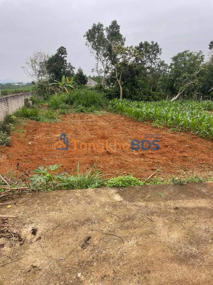 Bán Đất Đường Lê Lợi - Thái Hòa 175m² Giá 4xx Triệu