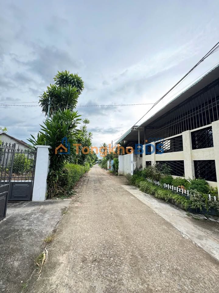 Đất Thổ Cư 186m² Xã Vinh Quang, Kon Tum - Giá Tốt 5xx Triệu