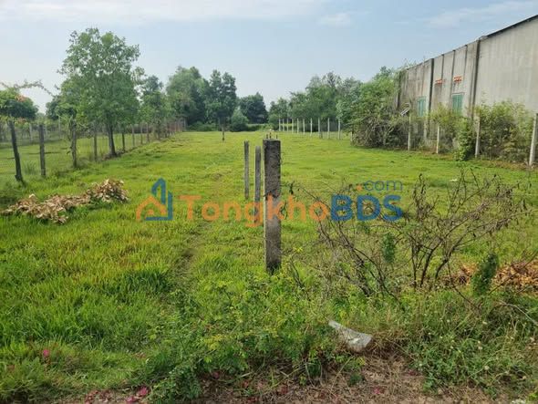 Đất nền Long An 840m² - Sổ hồng sẵn, giá 1.6 tỷ - Đầu tư sinh lời