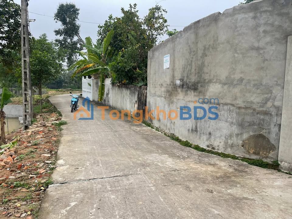 Bán Đất 162.8m² Full Thổ Cư Trung Thành, Phổ Yên - Sổ Đỏ Sẵn Sàng